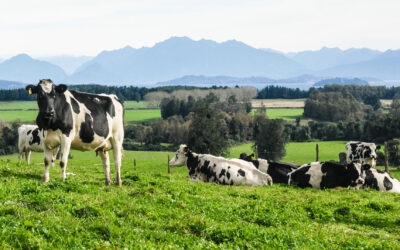 Informe sobre evaluación del poder germicida del antiséptico para pezones cow guard