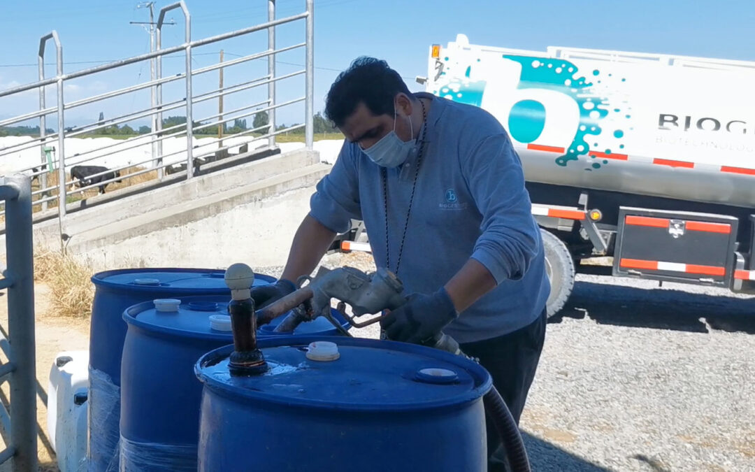Biogénesis sigue innovando e implementa camión para distribuir su producto Cow Guard® y evitar plásticos en lecherías.